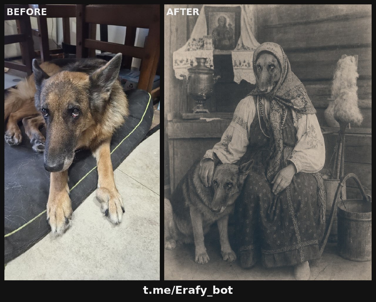 a dog is sitting on the floor next to a photo of a woman